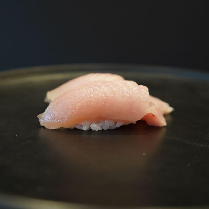 Albacore