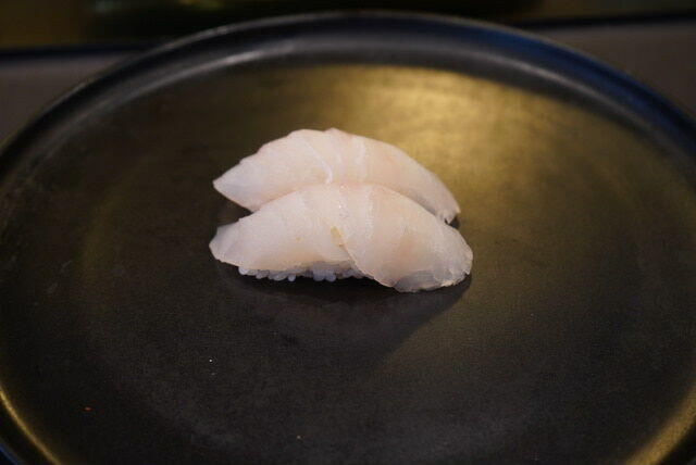 Red Snapper