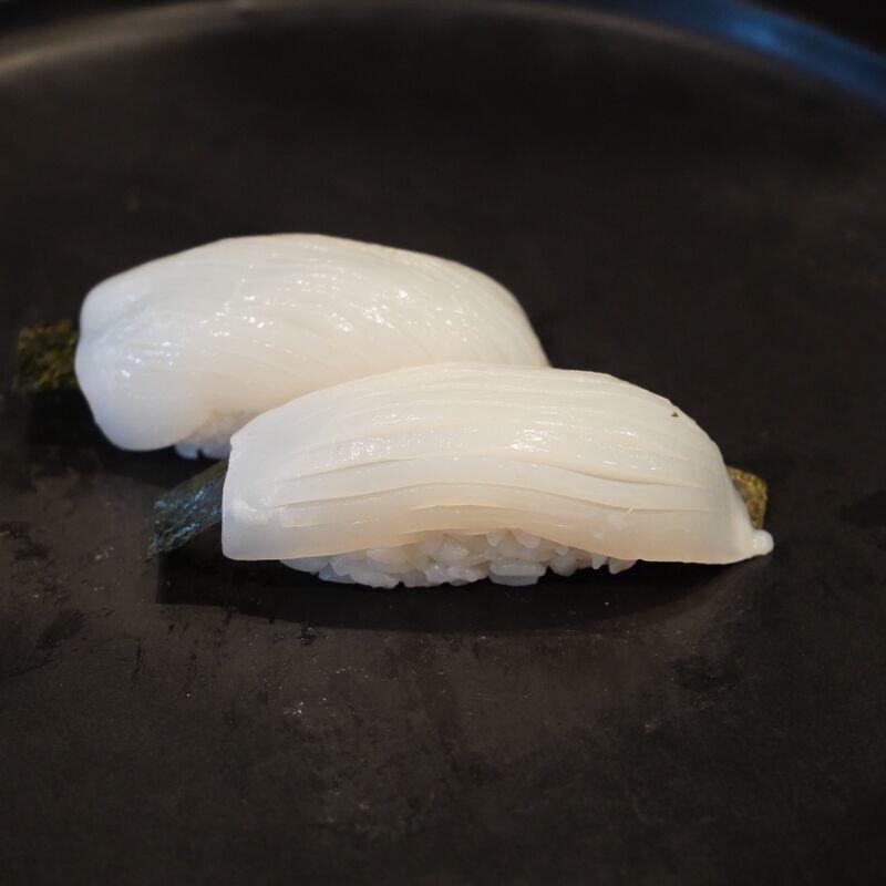 Squid